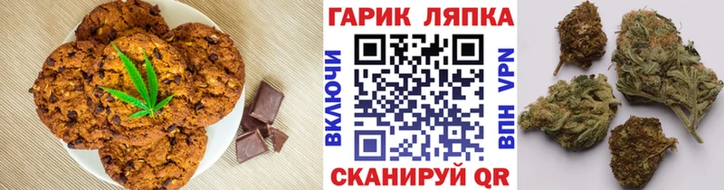 ОМГ ОМГ ТОР  Борзя  Cannafood марихуана 