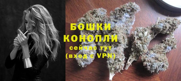 прущие грибы Апатиты