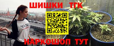 гидра Владивосток