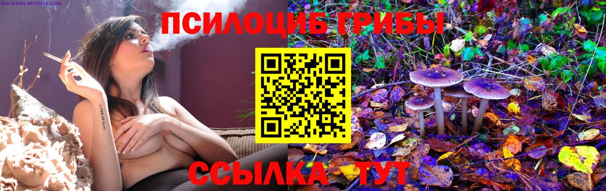 Борзя  Псилоцибиновые грибы Psilocybine cubensis  Вход с VPN  Галлюциногенные грибы Psilocybine cubensis 