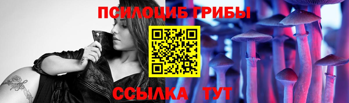 Псилоцибиновые грибы Psilocybine cubensis Борзя